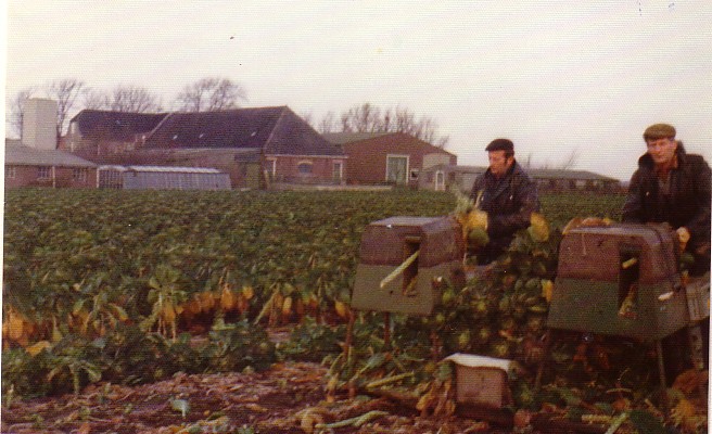 Gebroeders Christiaan Keijzer en Johannes M. Keijzer aan het spruiten plukken aan de Burgerdijkseweg De Lier