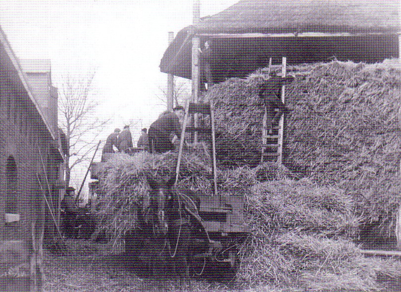 Hooibouw Boerderij Burgerdijkseweg De Lier