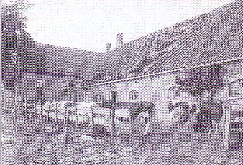 Boerderij Burgerdijkseweg De Lier